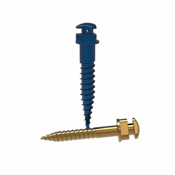 Orthodontic Anchorage Mini-Screw